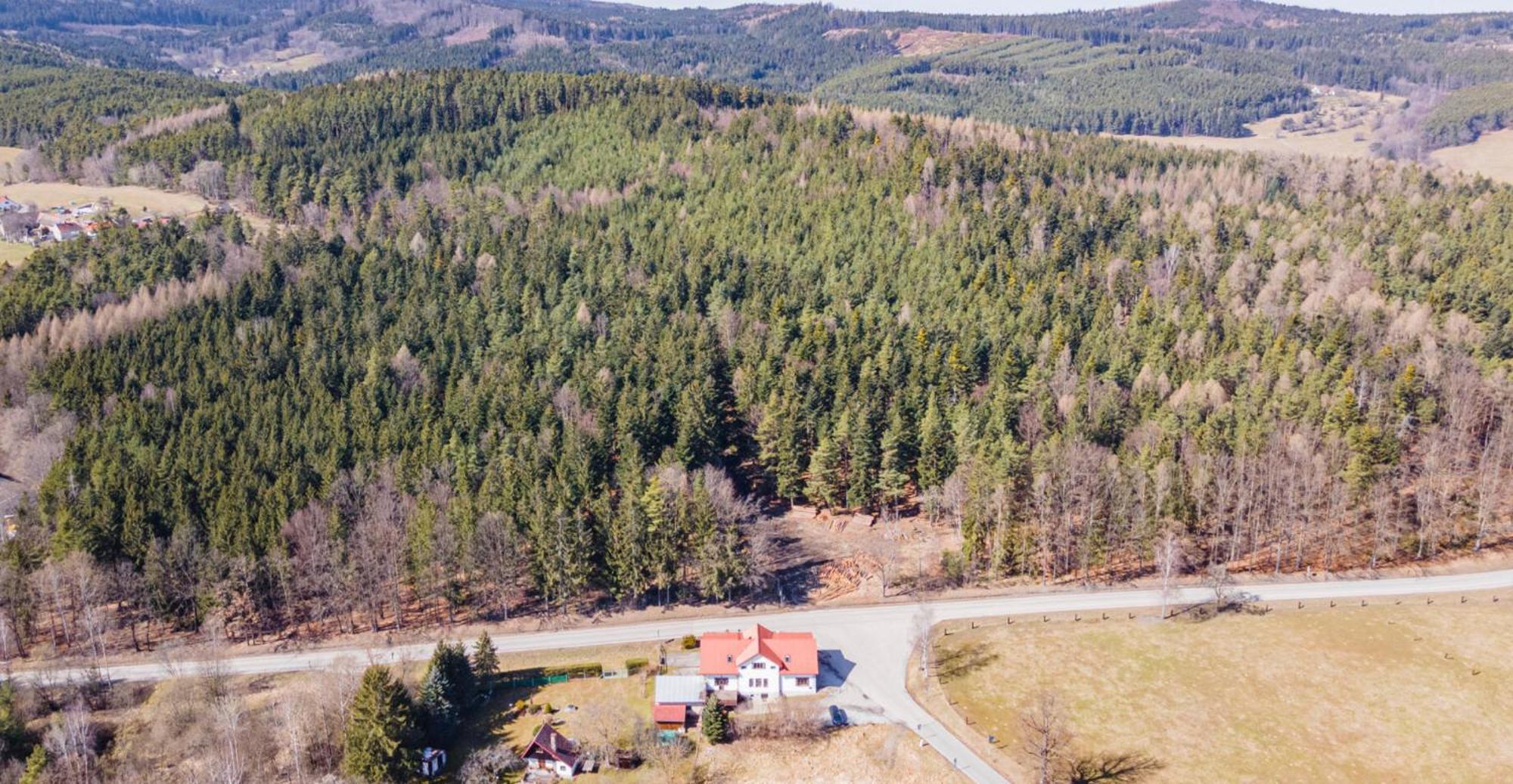 Penzion Na Letne Zlatá Koruna エクステリア 写真